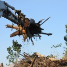 ツカミーノ多目的グラップル写真