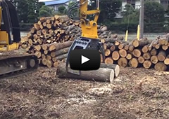 ツカミーノウッド